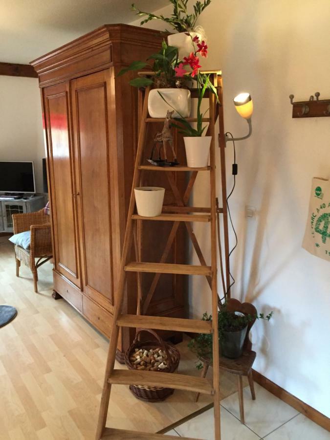 Les Appartements D'Estelle 小皮埃尔 外观 照片